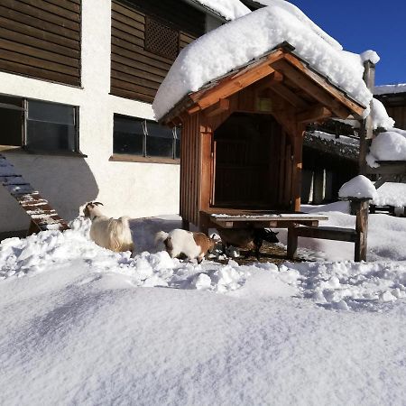 Zweimaederlhaus Apartamento Bad Mitterndorf Exterior foto