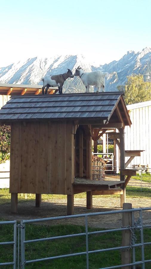 Zweimaederlhaus Apartamento Bad Mitterndorf Exterior foto