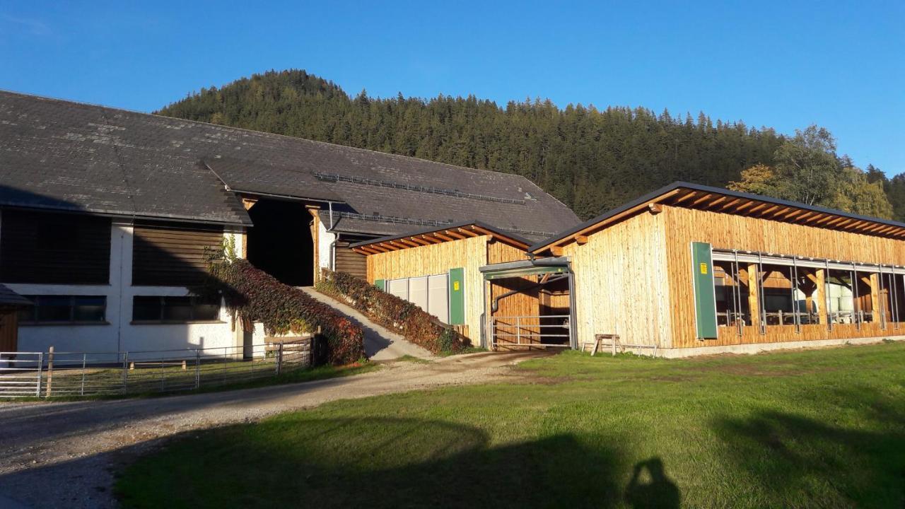 Zweimaederlhaus Apartamento Bad Mitterndorf Exterior foto