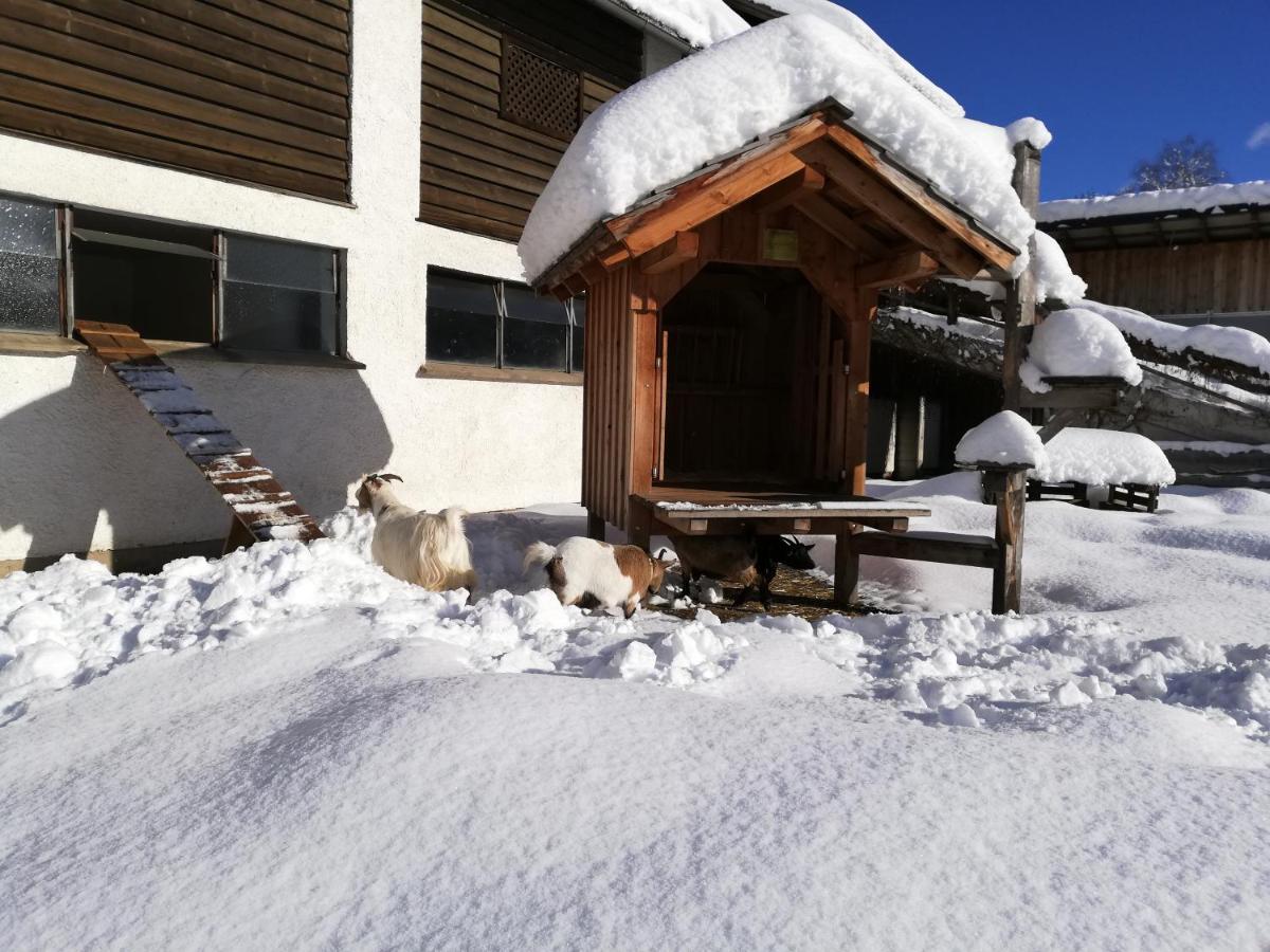 Zweimaederlhaus Apartamento Bad Mitterndorf Exterior foto